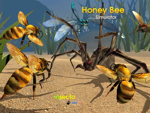 Honey Bee Simulator App Price Drops