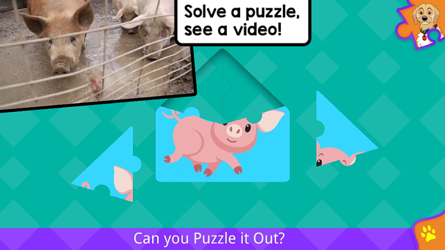 Puzzle It Out Preschool(圖4)-速報App