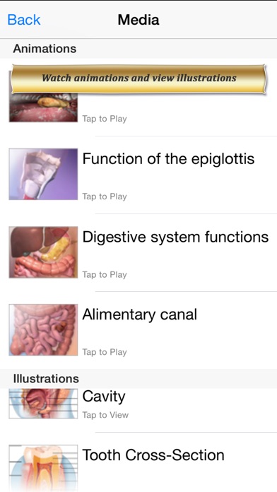 Digestive Anatomy Atlas: Essential Reference for Students and Healthcare Professionals Screenshot 4