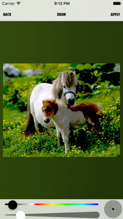 Photo Posterize screenshot-3