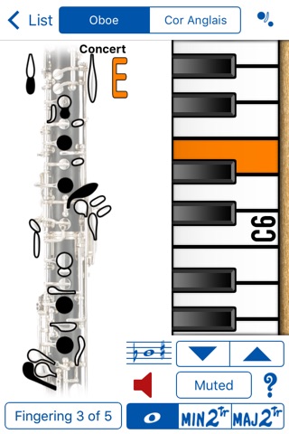 Fingering Woodwinds for iPhone screenshot 4