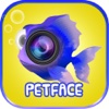 PetFace Photo Prank PRO - Selfie Zoo Stickers