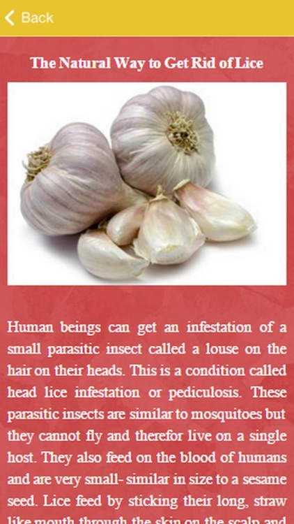 How To Get Rid Of Lice