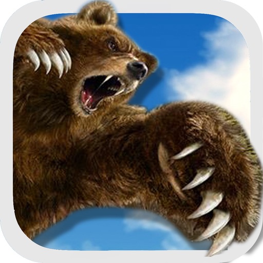 3D Bear Hunting Season 2016- A Wildlife Safari Animal Shooting Challenge PRO