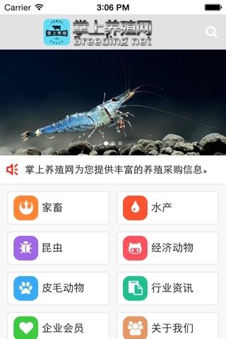 掌上养殖网 screenshot 2