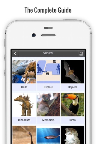 Natural History Museum Full screenshot 2