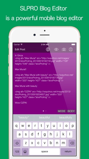 SLPRO - Fast and Easy Blog Editor(圖1)-速報App