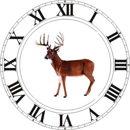 Best Hunting Times Apple Watch App