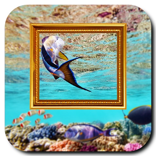 Aquarium Photo Frames