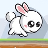 Bunny Rabbit