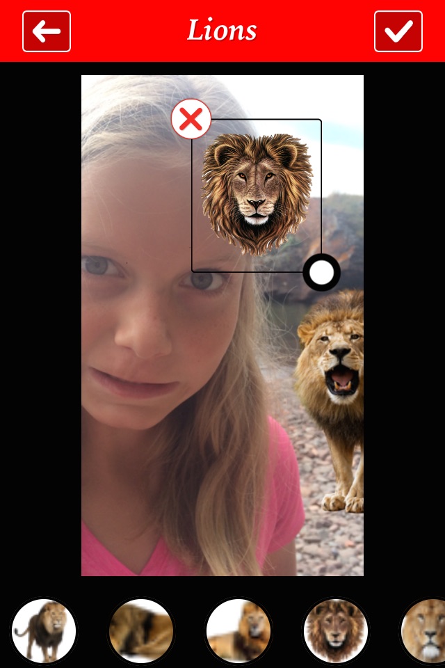 Lion Booth screenshot 3