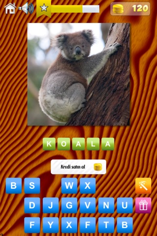 Animals Quiz - World Edition screenshot 2