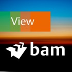 BAM International View
