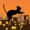 Cat Jumping!