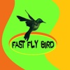 Fast Fly Bird