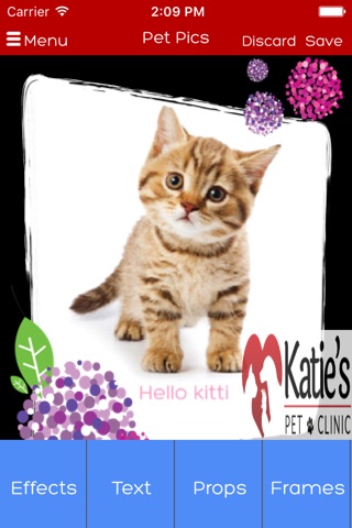 Katie's Pet Clinic screenshot 4