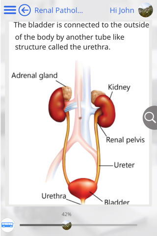 Pathology 101 by GoLearningBus screenshot 4