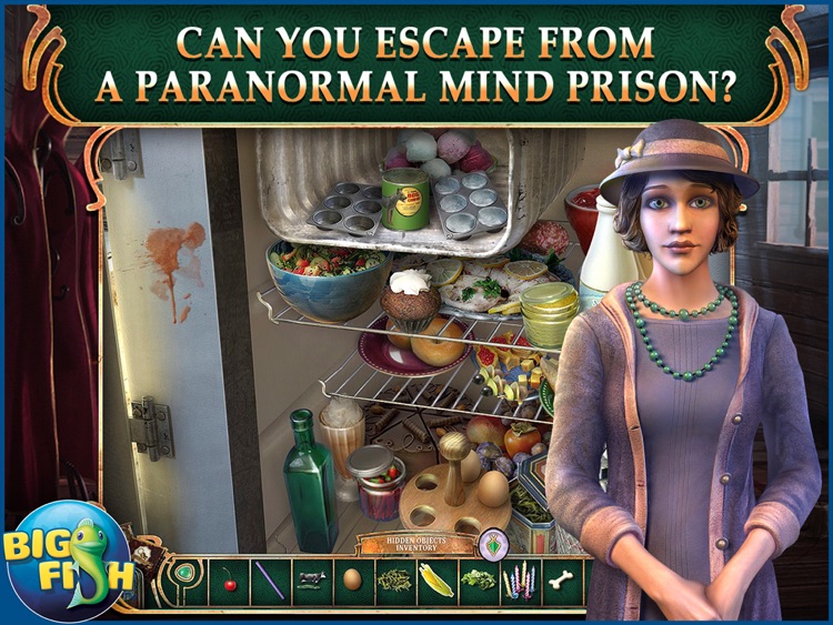 The Agency of Anomalies: Mind Invasion HD - A Hidden Object Adventure (Full)