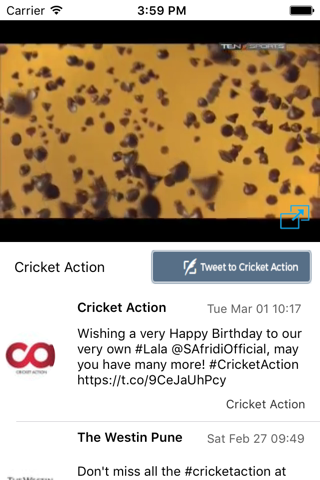 Cricket Action screenshot 2