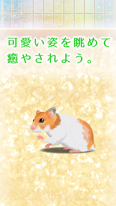 癒しのハムスター育成ゲーム screenshot1