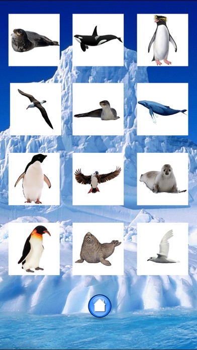 How to cancel & delete Animals Antarctica from iphone & ipad 4