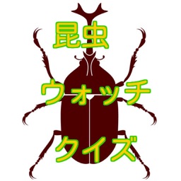 昆虫ウォッチクイズ