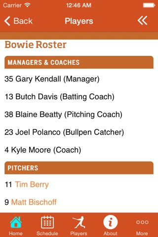 Bowie Baysox screenshot 3