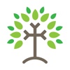 Life Tree Church