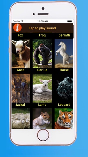 Real animal sounds(圖3)-速報App
