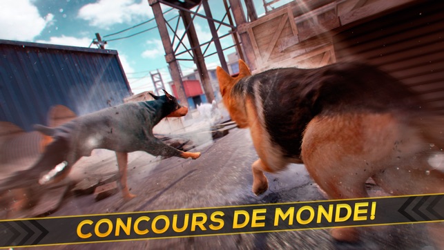 Mon Animal Virtuel Jeu De Chien De Course Jouet Amusant