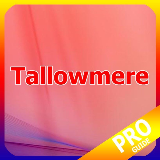 PRO - Tallowmere Game Version Guide icon