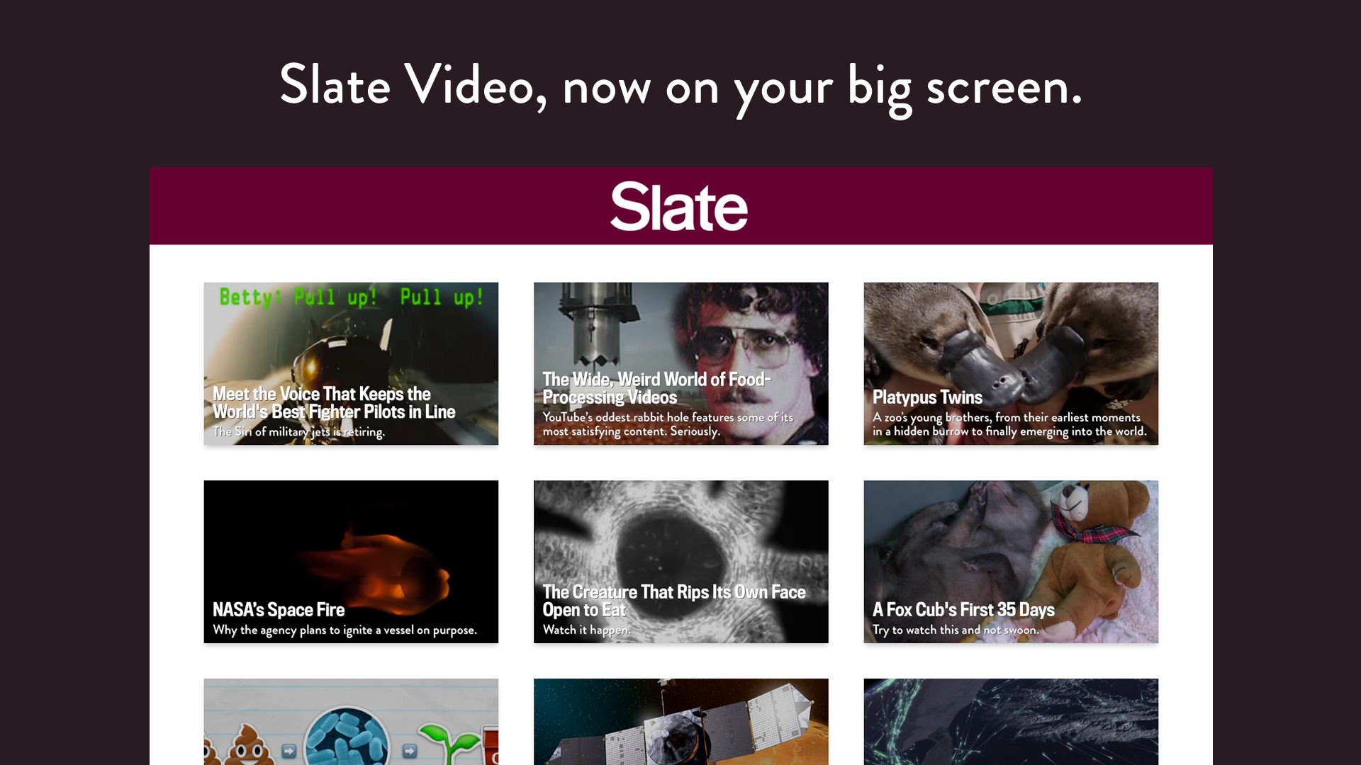 Slate.com screenshot 10