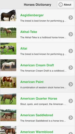 Game screenshot Horses Dictionary mod apk