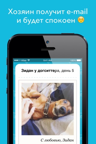 Догси – Фотоотчеты догситтера screenshot 3