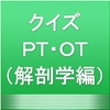 クイズ　ＰＴ・ＯＴ　(解剖学編)