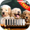 FrameLock – My Cute Puppy : Screen Photo Maker Overlays Wallpaper For Free