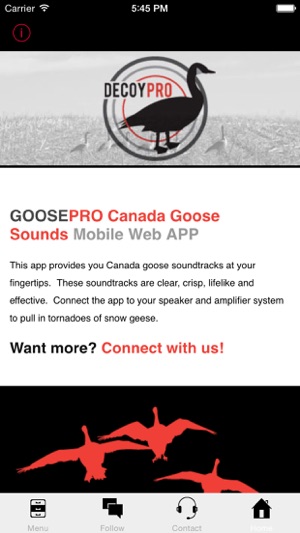 Goose Hunting Calls-Goose Sounds-Goose Call App(圖3)-速報App