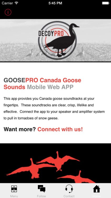 Goose Hunting Calls-Goose Sounds-Goose Call App