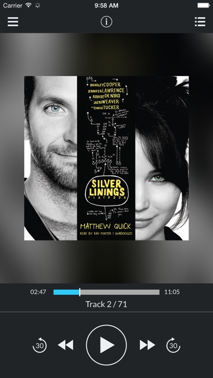 The Silver Linings Playbook (by Matthew Quick)