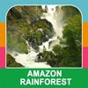 Amazon Rainforest