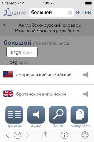 Dictionary Linguee screenshot 3