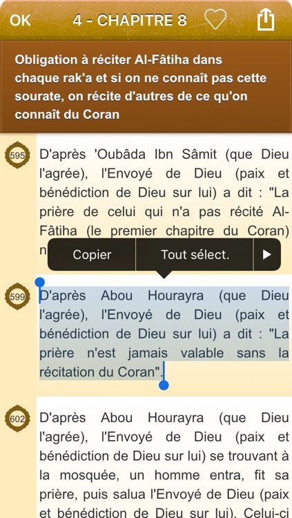 Sahih Muslim Audio mp3 en Français et en Arabe - +1700 Hadiths - صحيح مسلم screenshot-4