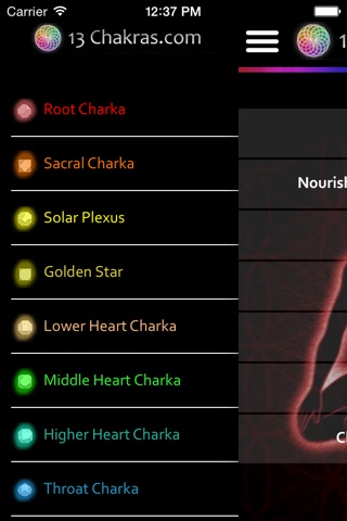 Empathize your chakras screenshot 3