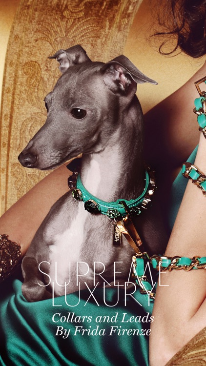 A+ The Doggie Magazine App - Dog Training, Obedience, Tips, Guides, Games & More For Your Puppy