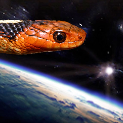 Snakes From Space!