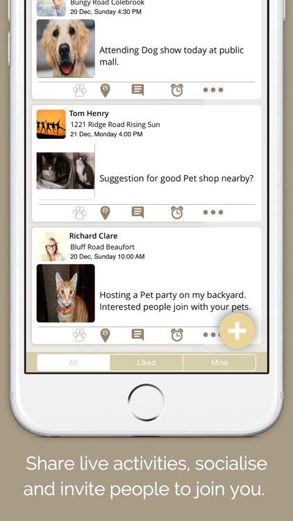 Pedore – Adore pets near by