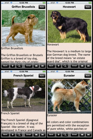 Dogs Encyclopedia Plus+ screenshot 4