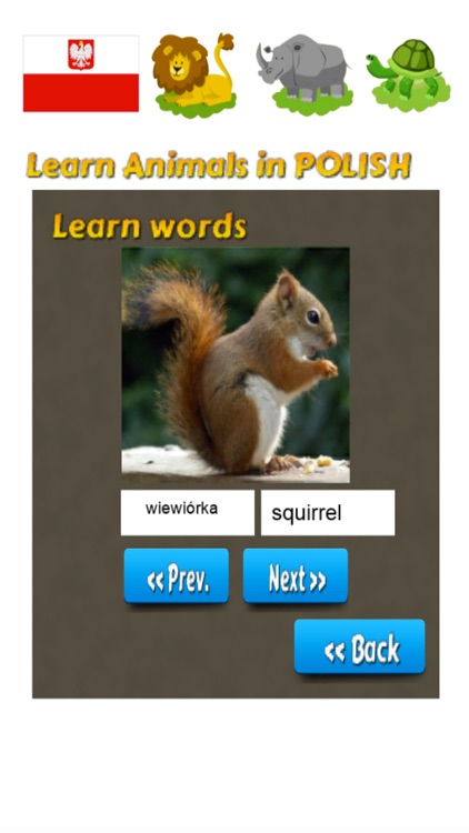 Learn Animals in Polish Language