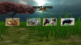 Game screenshot Sniper Bear Hunting 3D hack