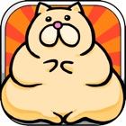 Un-nyan -Kitty Evolution- funny tragic story for boredom
